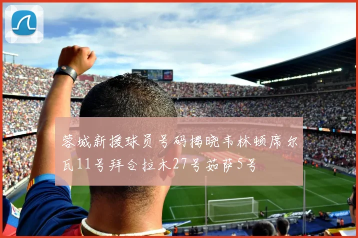 蓉城新援球员号码揭晓韦林顿席尔瓦11号拜合拉木27号茹萨5号