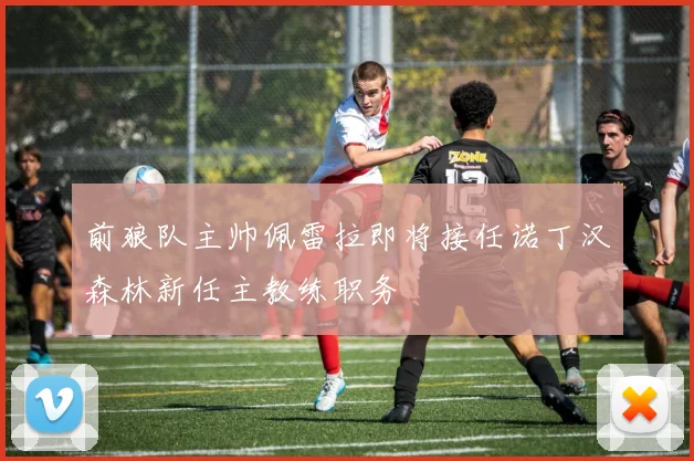 前狼队主帅佩雷拉即将接任诺丁汉森林新任主教练职务