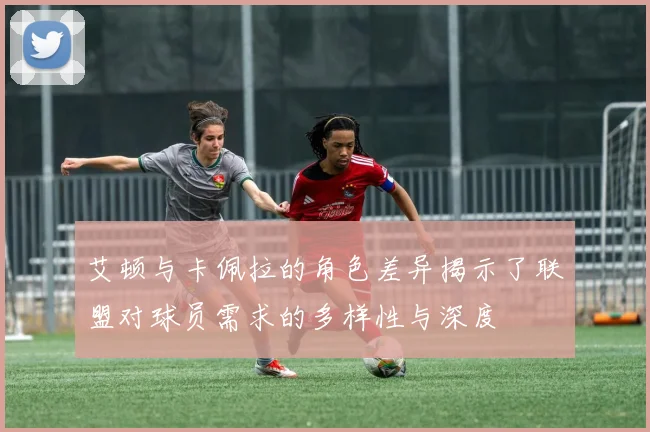 艾顿与卡佩拉的角色差异揭示了联盟对球员需求的多样性与深度