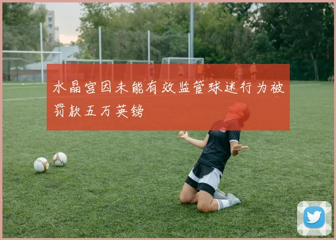 水晶宫因未能有效监管球迷行为被罚款五万英镑