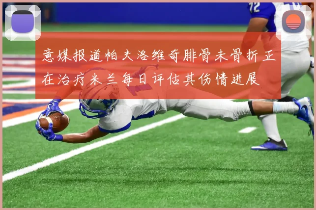 意媒报道帕夫洛维奇腓骨未骨折正在治疗米兰每日评估其伤情进展